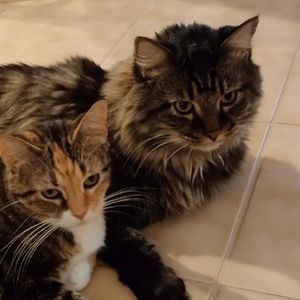 Meet your Posher, Barbara